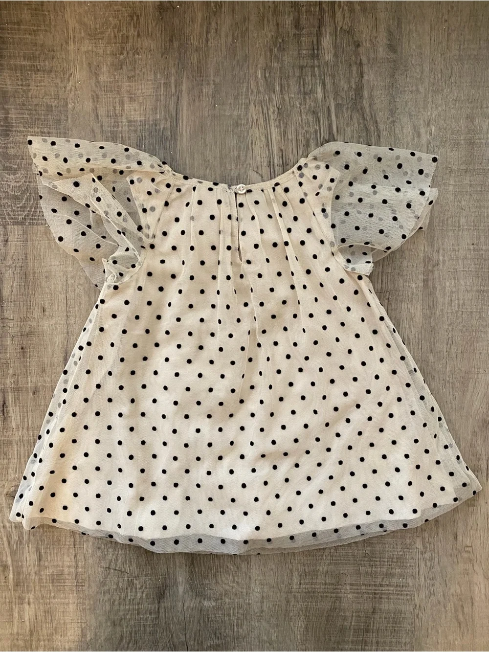 GAP Cream Sheer Polka Dot Flutter Sleeve dress with Black Dots